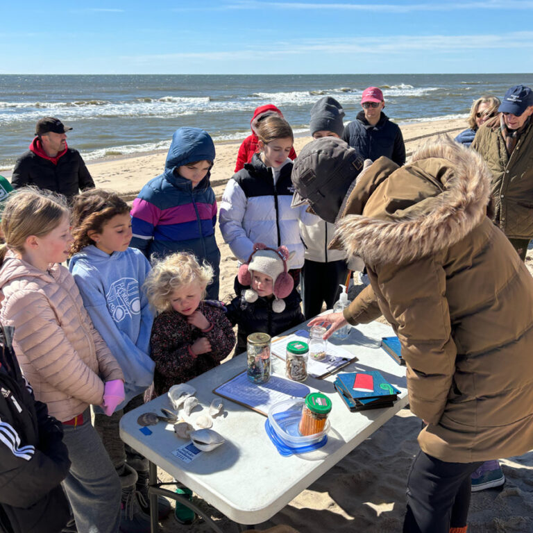 Beach Cleanup Friends Of Georgica Pond Foundation