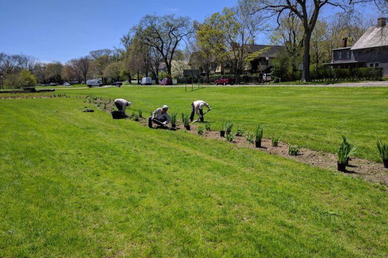 Bioswales They Work Friends Of Georgica Pond Foundation