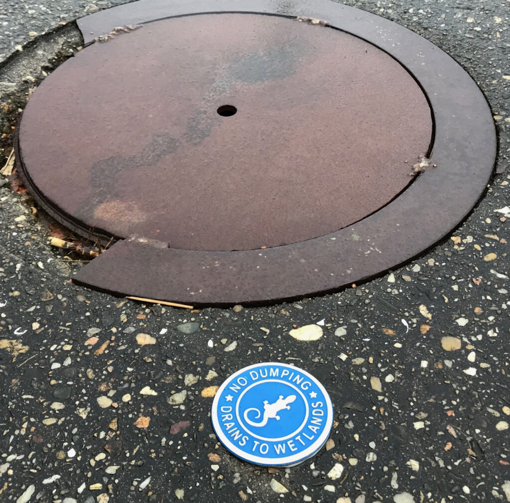 Down the Drain - Friends of Georgica Pond Foundation