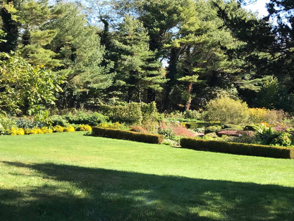 A green lawn at Bridge Gardens