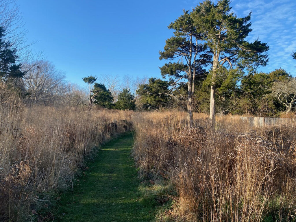 Beckoning paths can be mowed through a buffer to bring you to your destination. Photo: Farm Landscape Design 